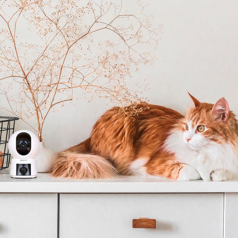 P3TT 3MP UHD Notranja kamera z dvema objektivoma, vrtenjem in nagibanjem, 2,4 GHz in 5 GHz, dvopasovna WiFi