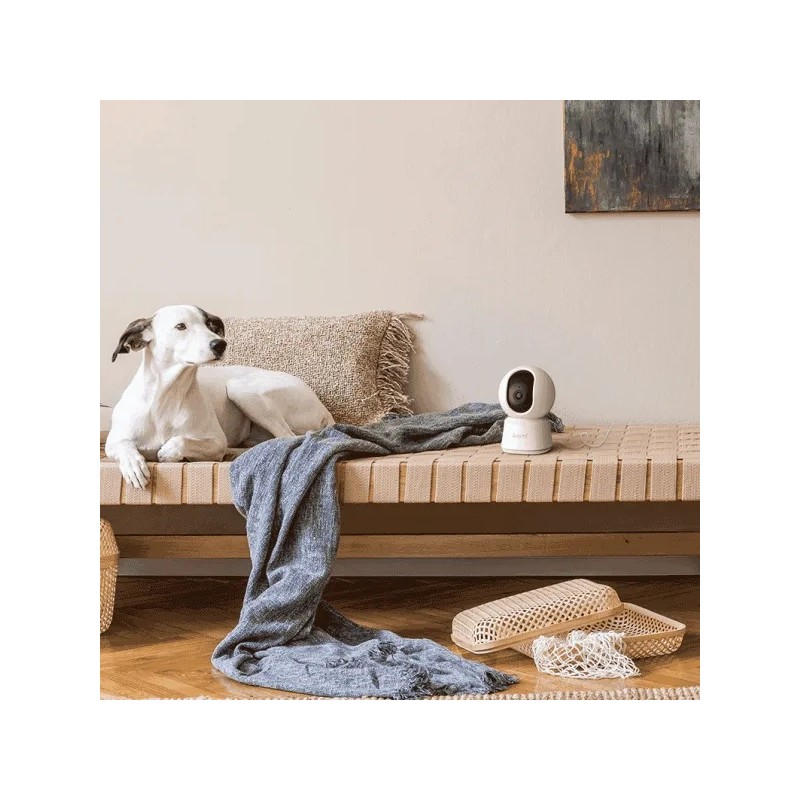 P2F nadzorna kamera, notranja,5MP UHD, 2,4 in 5,8GHz, Arenti