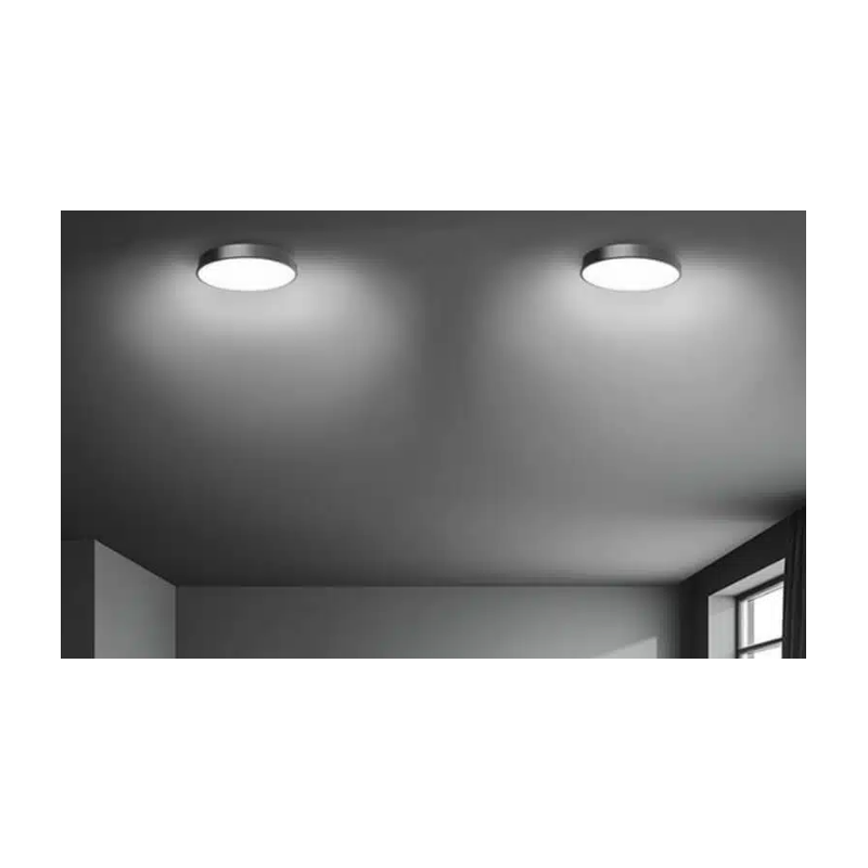 Master LED stropna svetilka VESNA 30W, okrogla