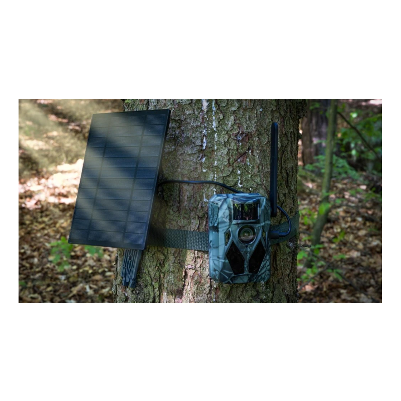 Lovska kamera StrongVision Solar 4G