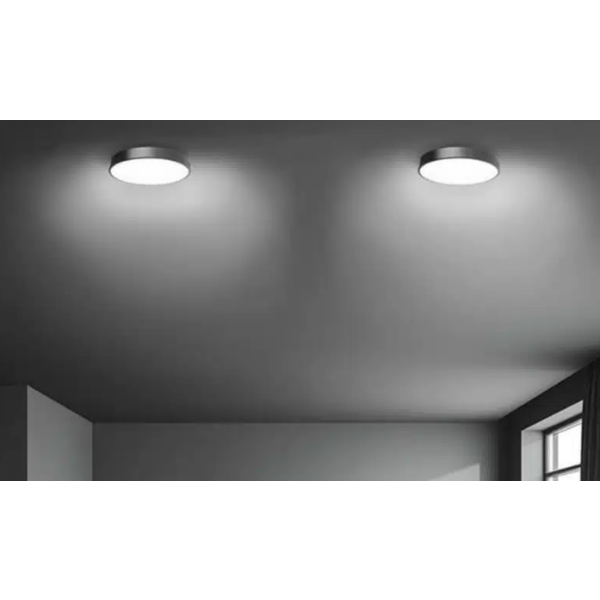 Master LED stropna svetilka VESNA 30W, okrogla