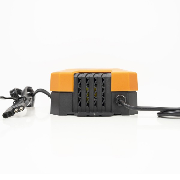 Hitri polnilec za akumulatorje C130