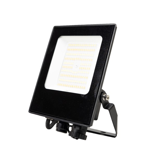 LED Reflektor WS550