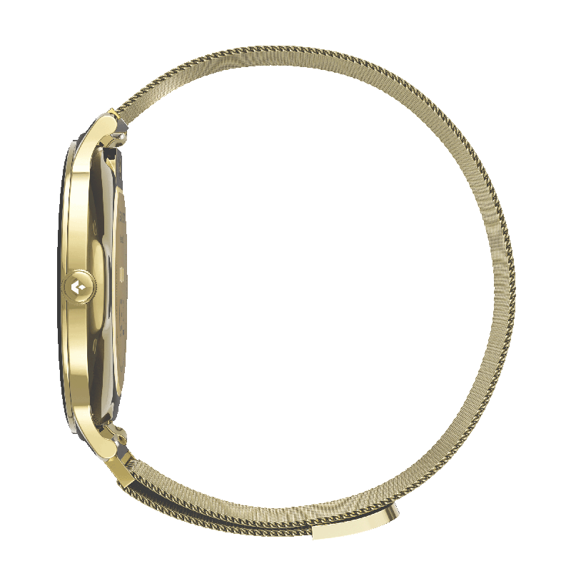 pametna ura VERONA 2 Zlata, Mesh steel