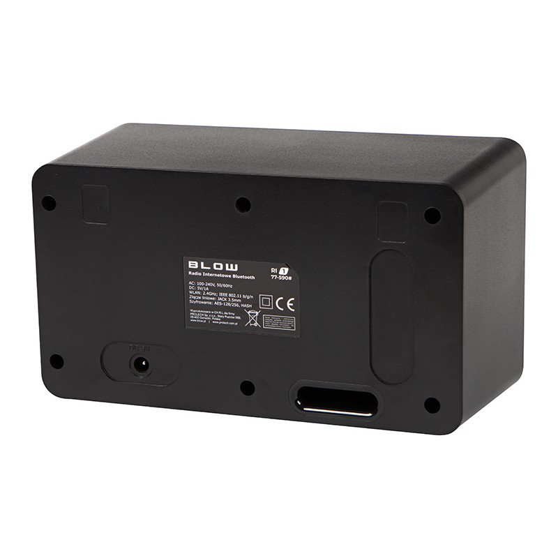 Blow Internetni radio RI 1 77-590