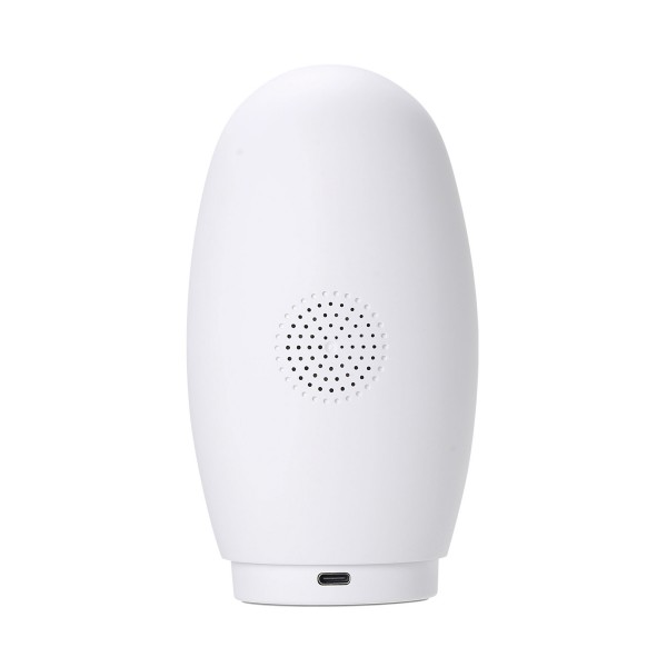 Video nadzorna kamera IP733