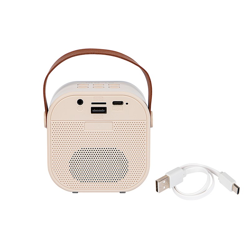 Prenosni zvočnik Karaoke RGB 30-358